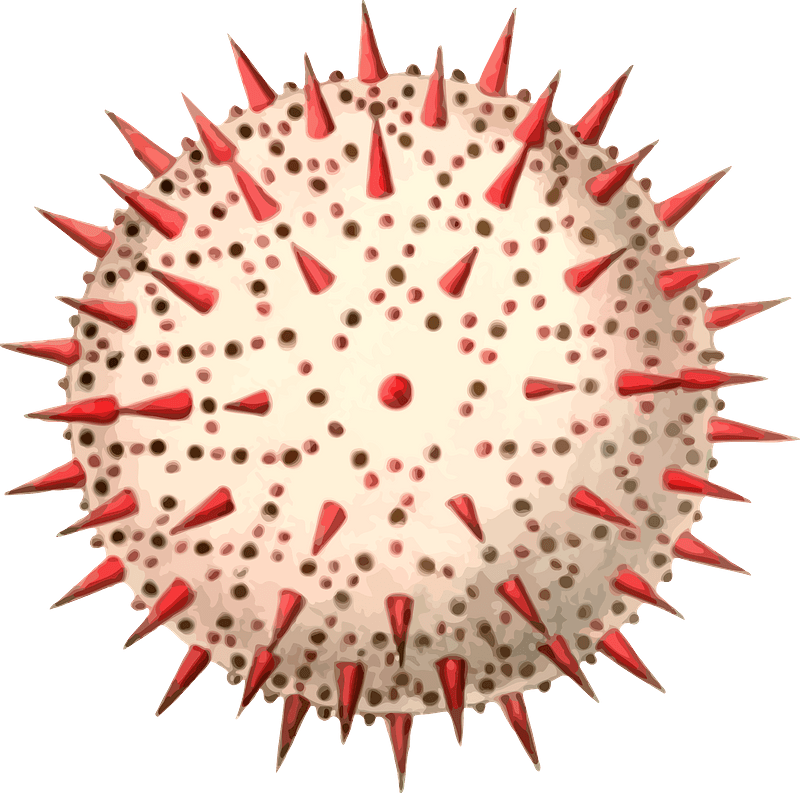 Pollen clipart. Free download transparent .PNG | Creazilla