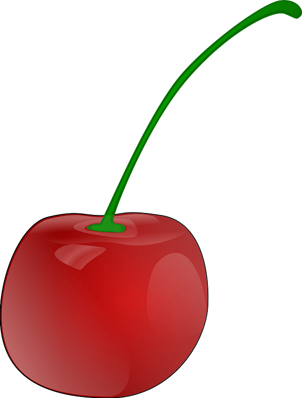 Long Stem Cherry clipart. Free download transparent .PNG Creazilla