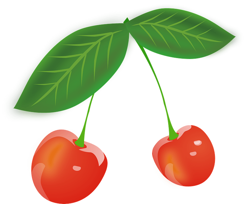 Two long stem cherries clipart. Free download transparent .PNG Creazilla