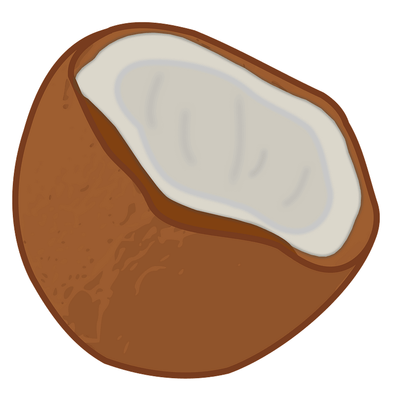 Cut Open Coconut clipart. Free download transparent .PNG Creazilla