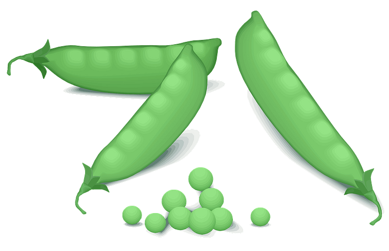 Peas And Pea Pods Clipart Free Download Transparent PNG Creazilla