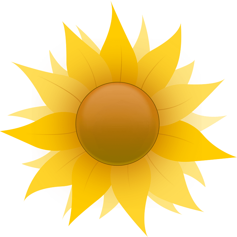 Sunflower clipart. Free download transparent .PNG Creazilla