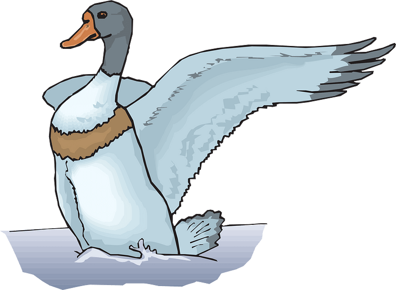 Water bird clipart. Free download transparent .PNG Creazilla