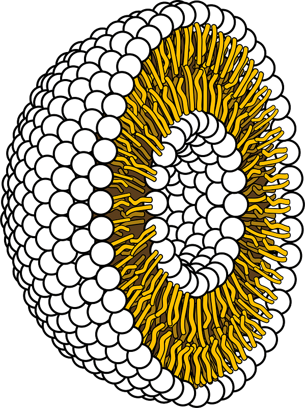 Science clipart