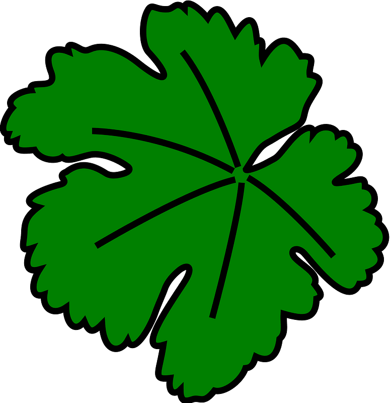 Vine clipart. Free download transparent .PNG Creazilla