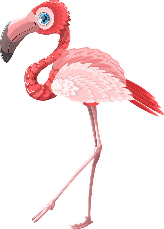 Flamingo clipart