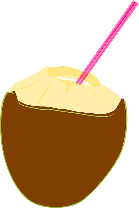 Coconut clipart. Free download transparent .PNG Creazilla