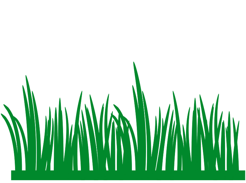 Grass clipart. Free download transparent .PNG Creazilla