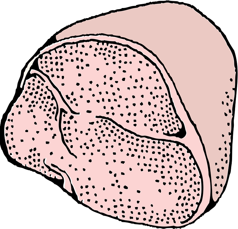 Ham clipart. Free download transparent .PNG Creazilla
