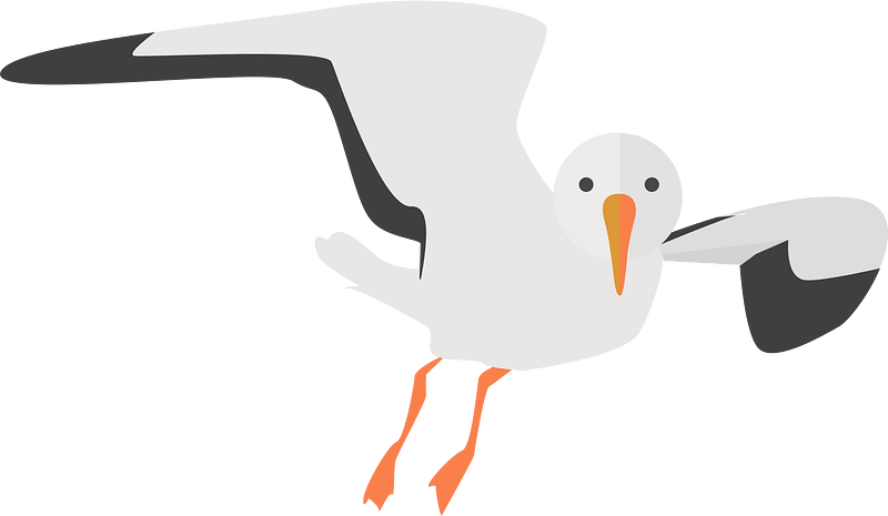 Seagull clipart. Free download transparent .PNG | Creazilla