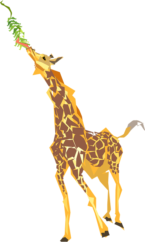 Giraffa clipart