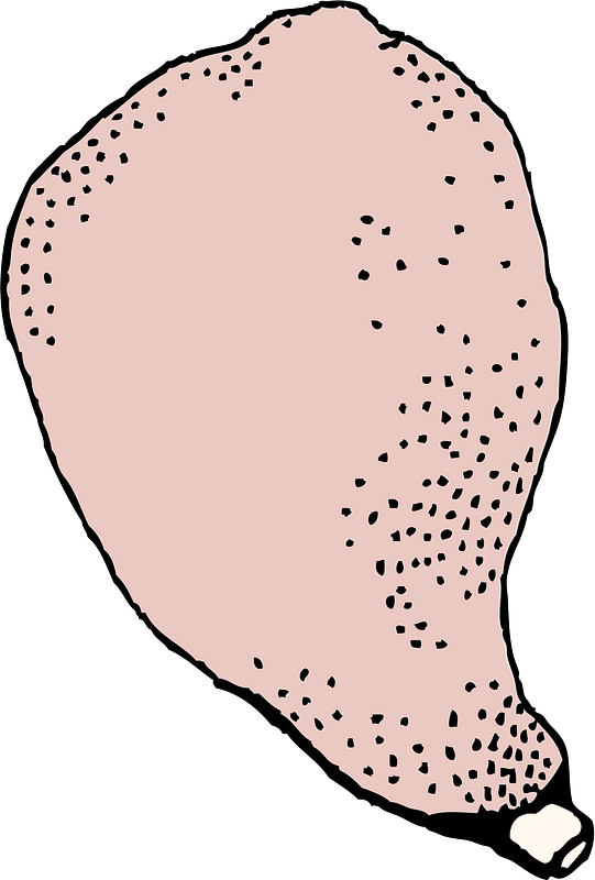 Pig clipart
