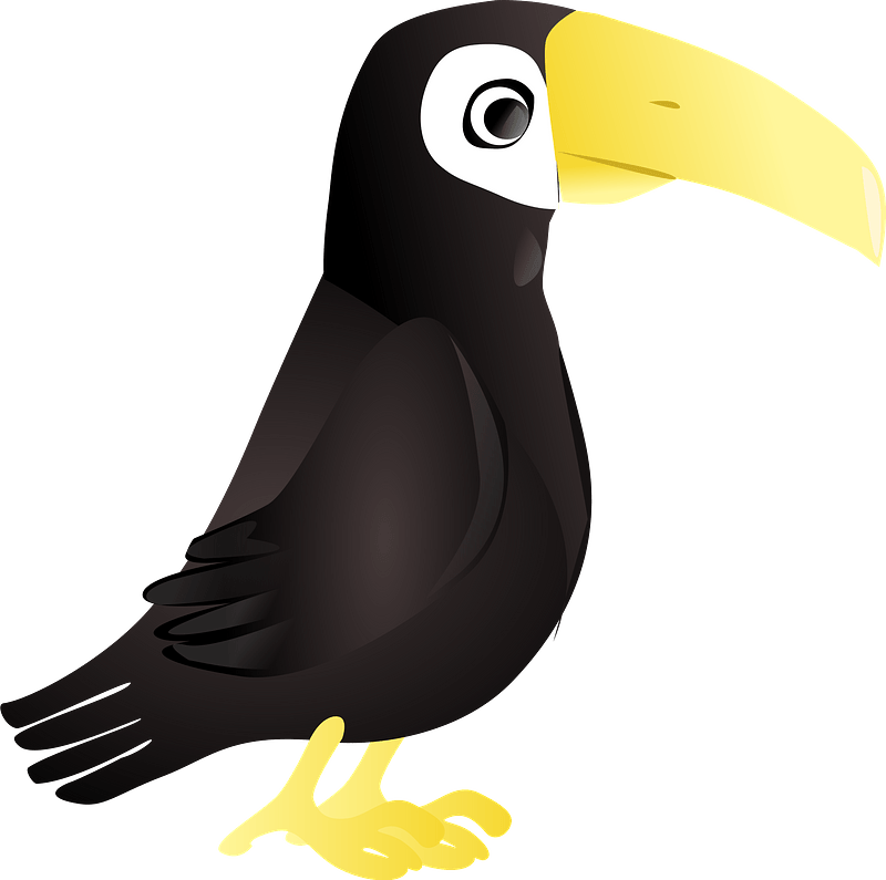 Tucan Toco clipart