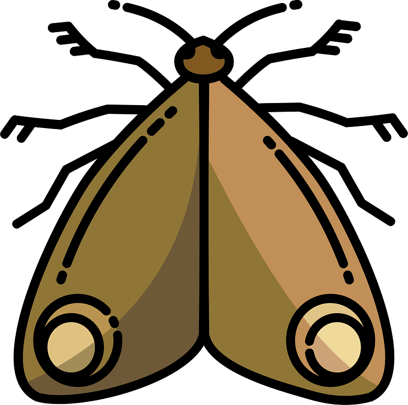 Moth clipart