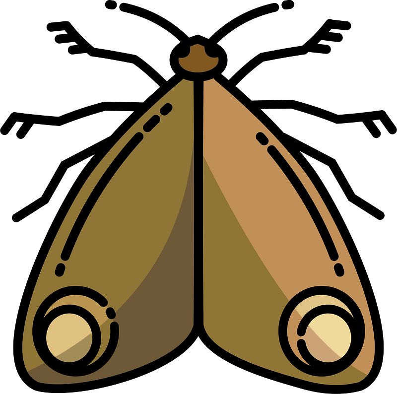 Polilla clipart