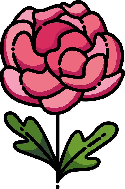 Peony clipart