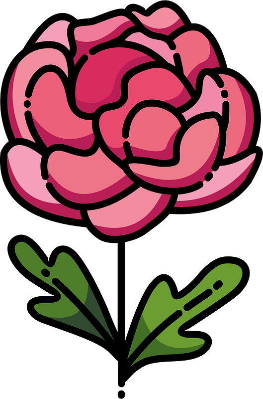 Peonia immagine clipart