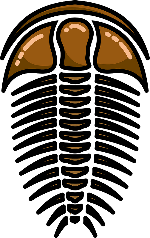 Trilobite fossil 剪贴画