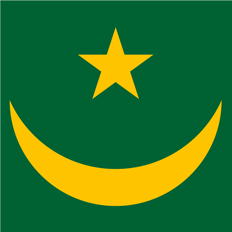 Fin Flash of Mauritania clipart. Free download transparent .PNG | Creazilla