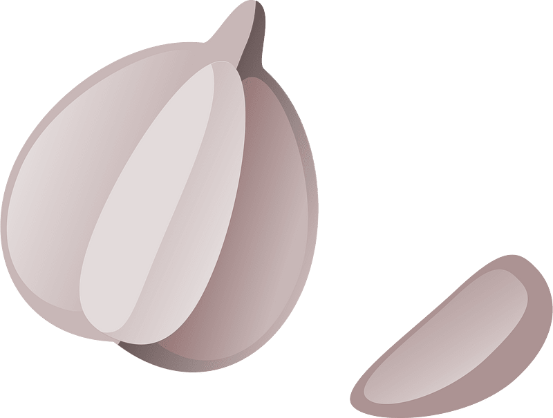 Garlic clipart. Free download transparent .PNG Creazilla