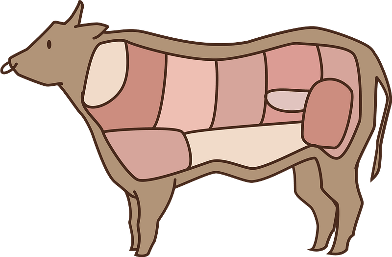 Cartoon Beef Cuts