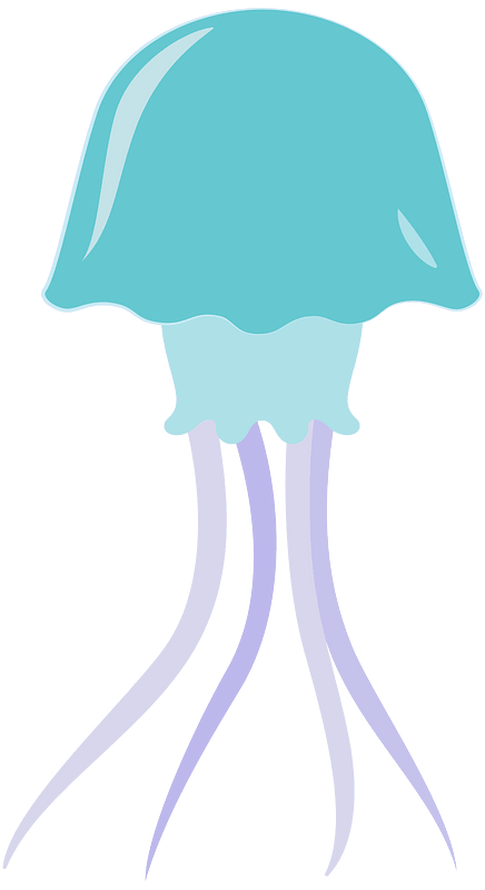 Jellyfish clipart