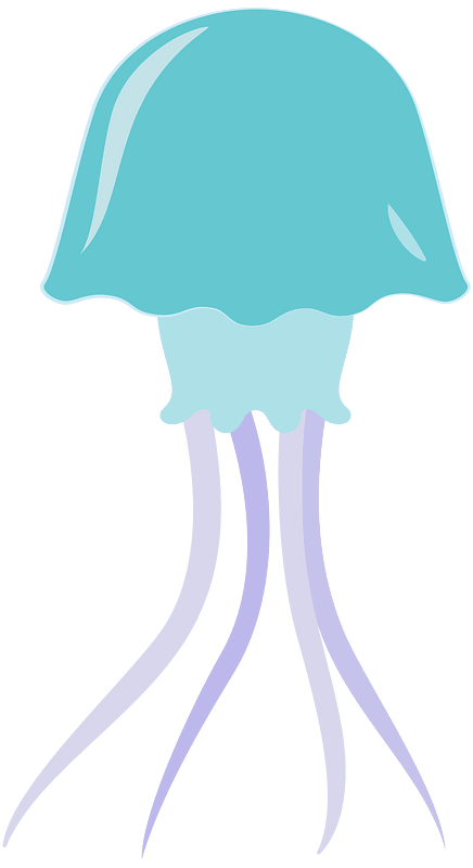 Meduusa clipart