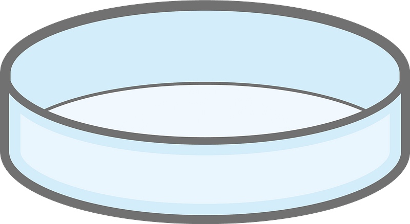 Petri Dish clipart. Free download transparent .PNG | Creazilla