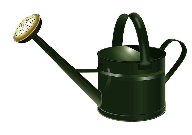 Watering Can clipart. Free download transparent .PNG Creazilla