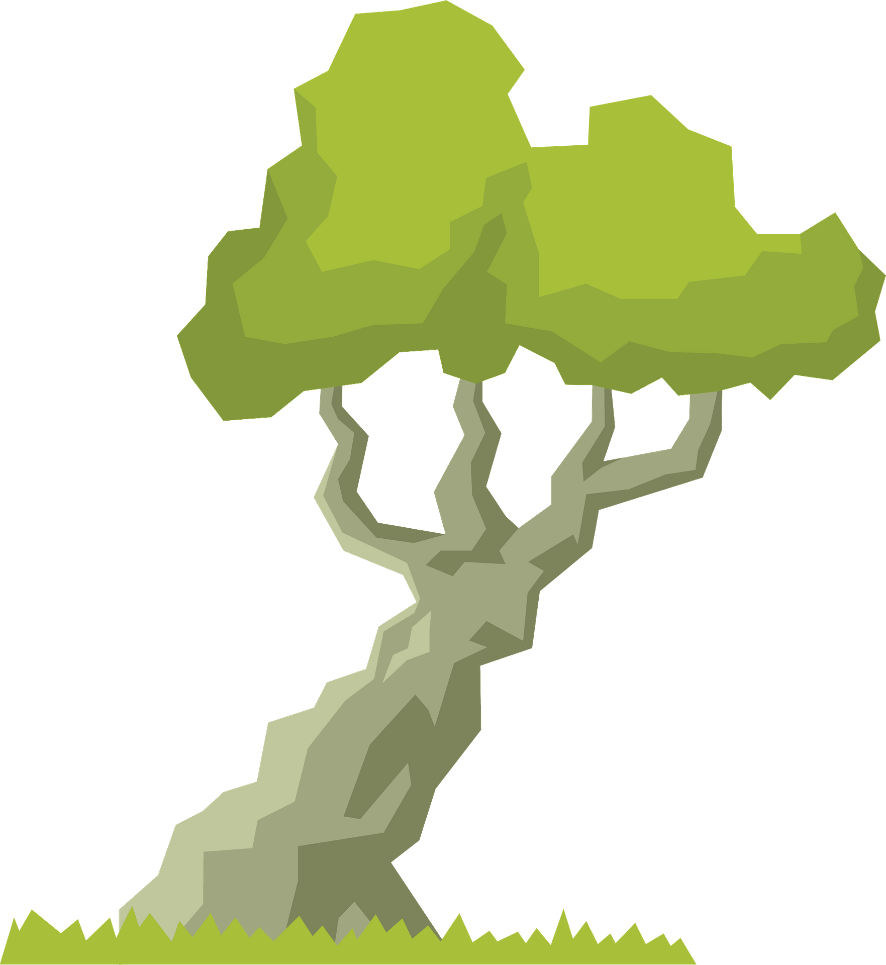 Rainforest Canopy Clipart