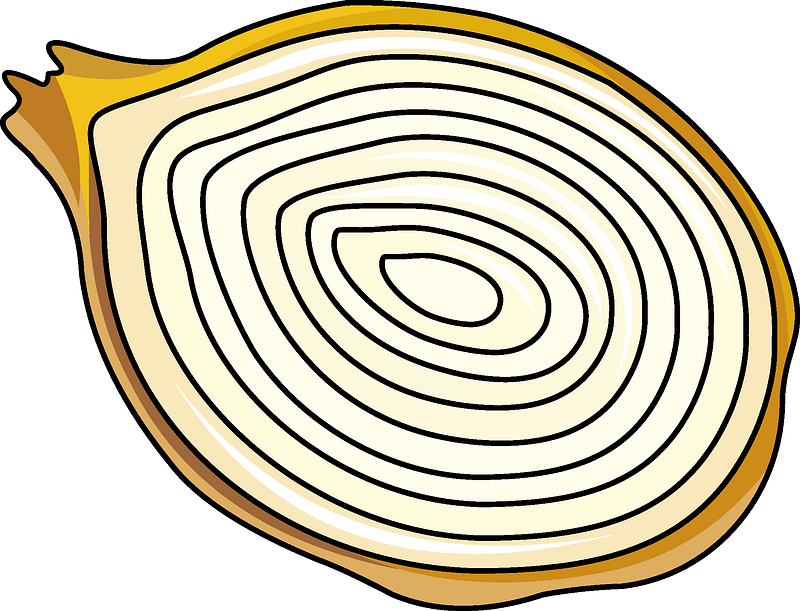 Onion clipart