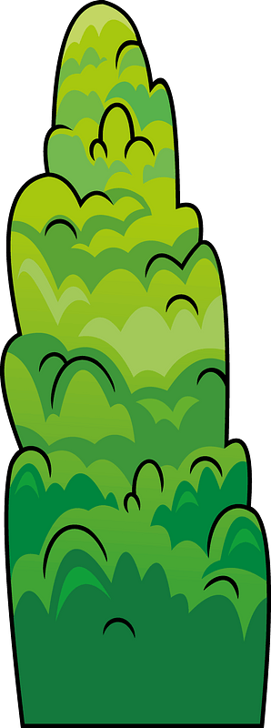 Albero sempreverde immagine clipart