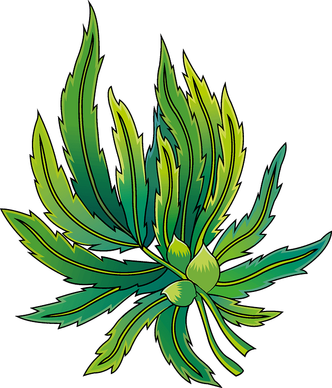 Marijuana clipart