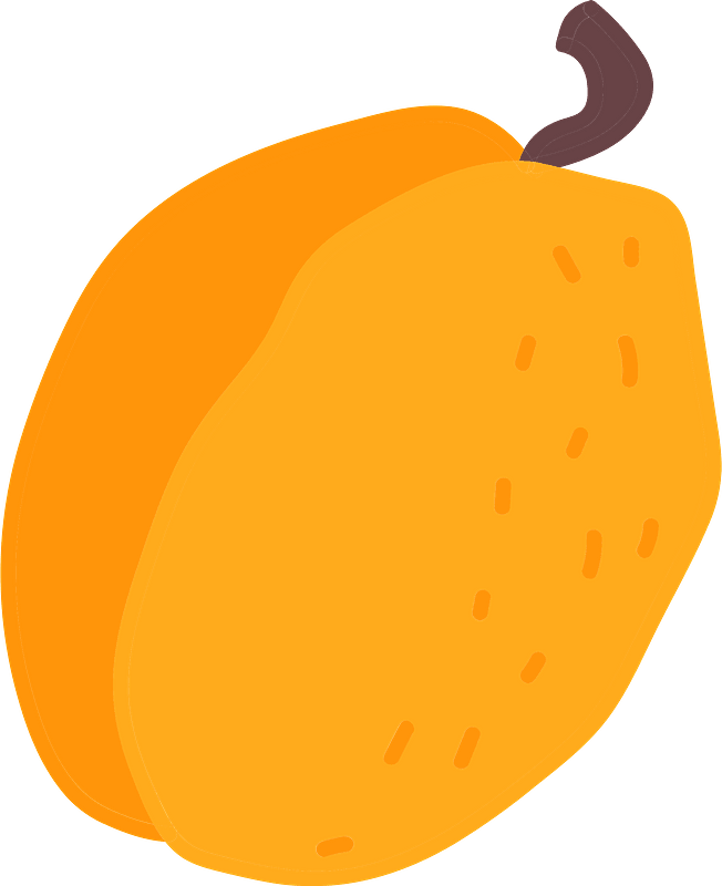 Apricot clipart