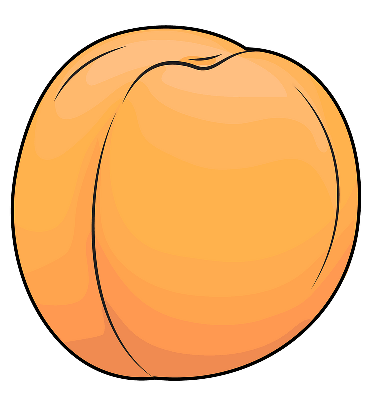 Apricot clipart. Free download transparent .PNG Creazilla