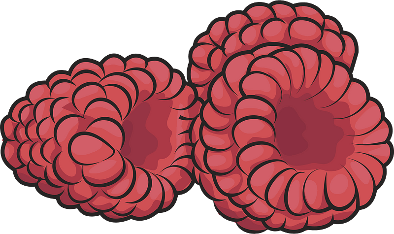 Framboise clipart