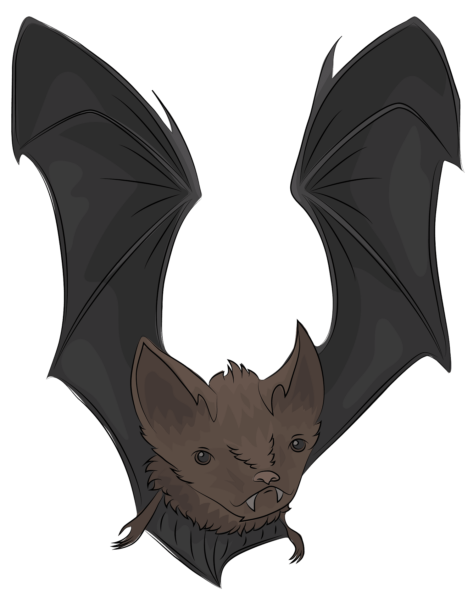 Little brown bat clipart. Free download transparent .PNG Creazilla