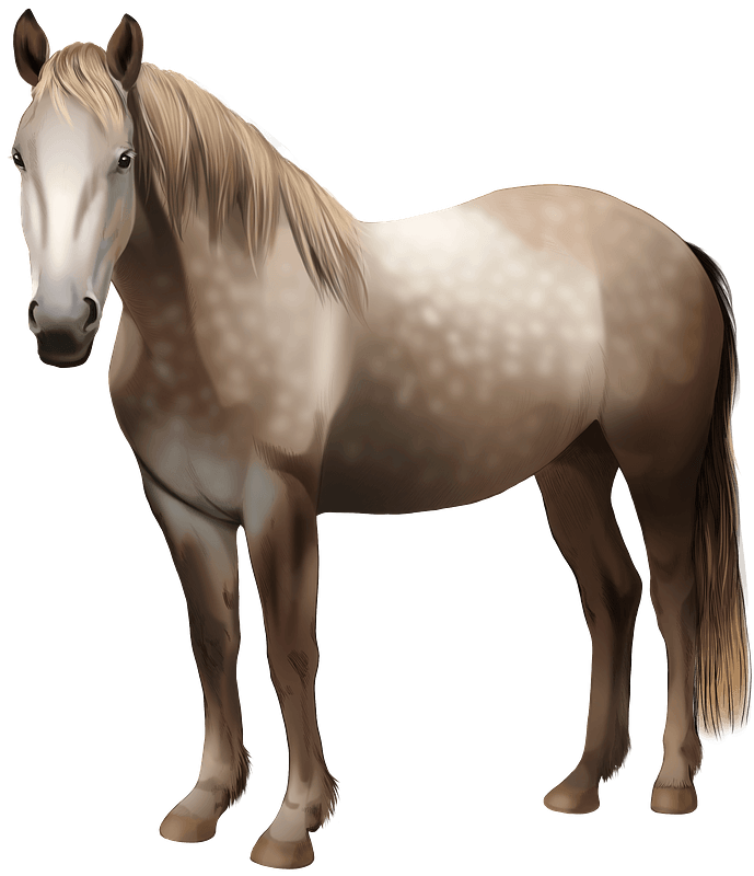 Irish Draught Horse clipart. Kostenloser Download. Creazilla