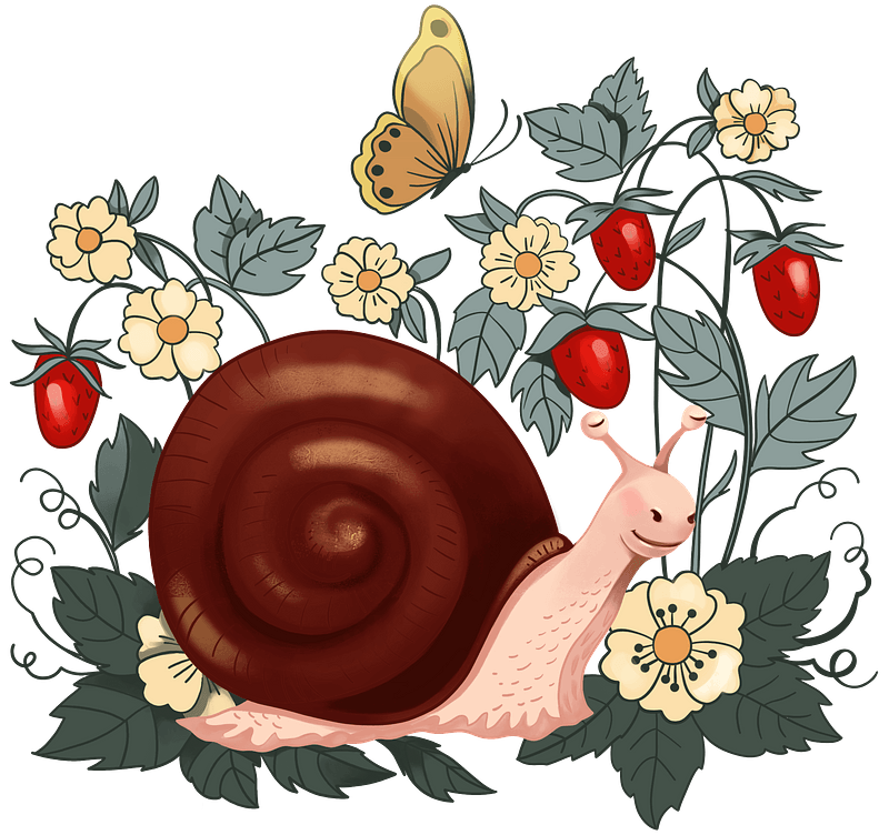 Escargot et fraise clipart