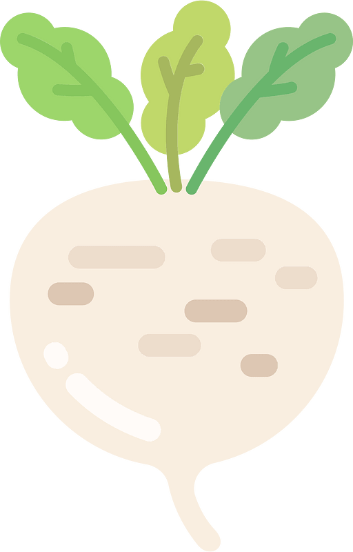Turnip clipart. Free download transparent .PNG Creazilla