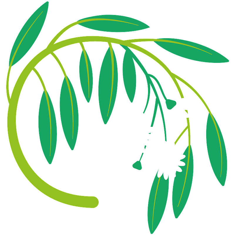 Eucalipto clipart. Dibujos animados descargar gratis. Creazilla