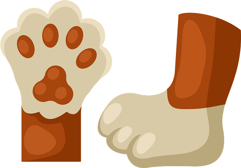 Cat Feet Clipart Free Download Transparent PNG Creazilla
