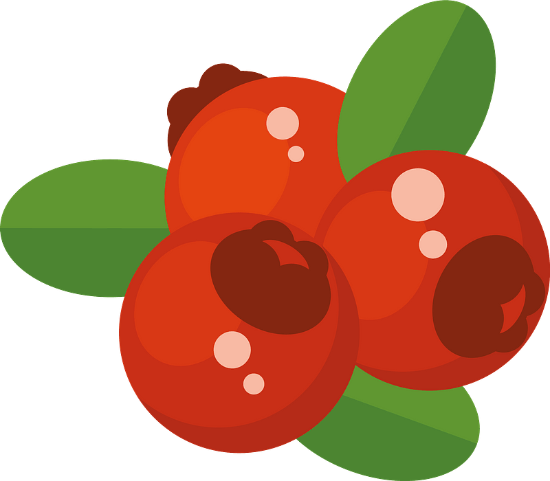 Cranberries clipart. Free download transparent .PNG Creazilla
