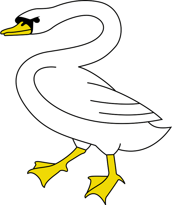 Mute swan clipart. Free download transparent .PNG Creazilla