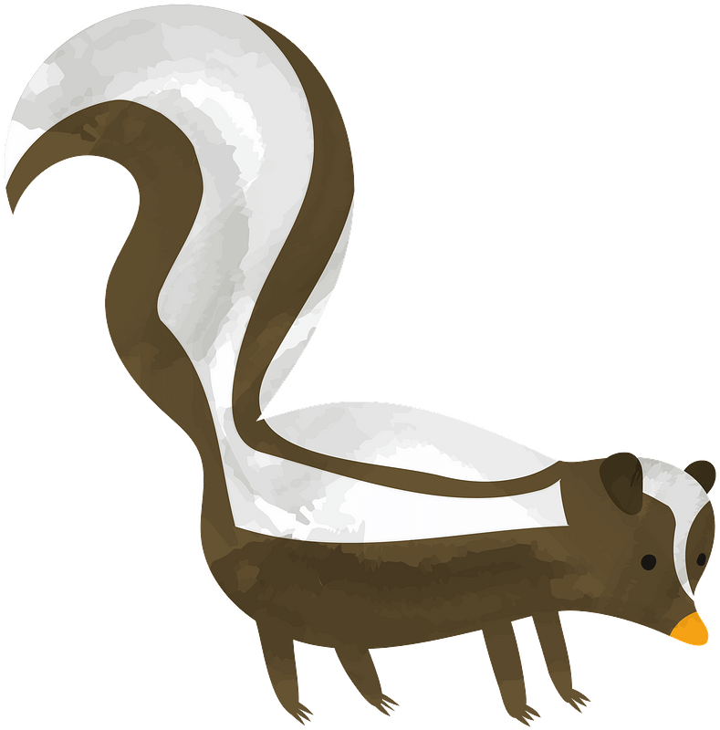 Skunk clipart