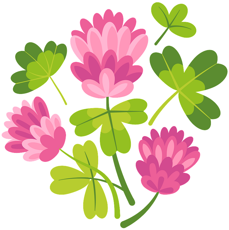 三葉草屬 clipart