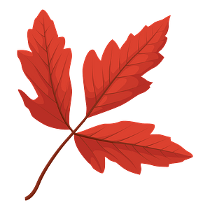 Red Leaves Clipart Free Download Transparent Png Or Vector Creazilla