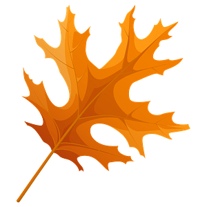 Red Leaves Clipart Free Download Transparent Png Or Vector Creazilla