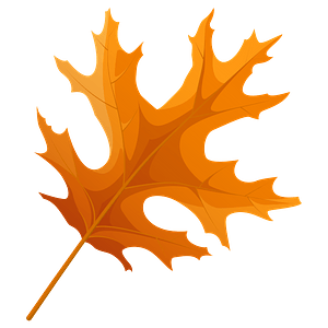 Scarlet oak autumn leaf кліпарт