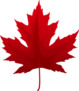 Клипарт Silver maple red leaf